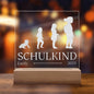 Personalisiertes Geschenk zur Einschulung 2025 für Zuckertüte - Premium-Acryl Schild als Schultüte Kleinigkeit Geschenke Schulkind Mädchen