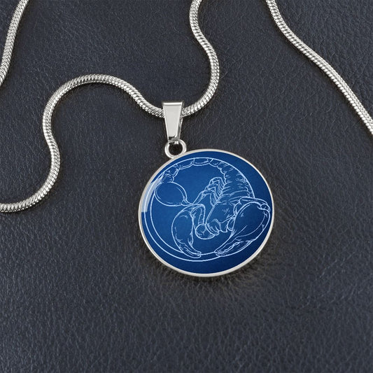 Sternzeichen Geschenk Skorpion Sternbild Anhänger Halskette mit Gravur - Einzigartiger Astrologie Schmuck für besondere Anlässe
